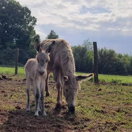 Magarece Mleko Eko Farma Sisevac Wellness&spa * Парасин