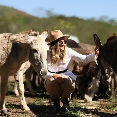 アパート Magarece Mleko Eko Farma Sisevac Wellness&spa パラチン