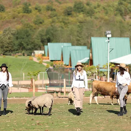 Magarece Mleko Eko Farma Sisevac Wellness&spa Парасин