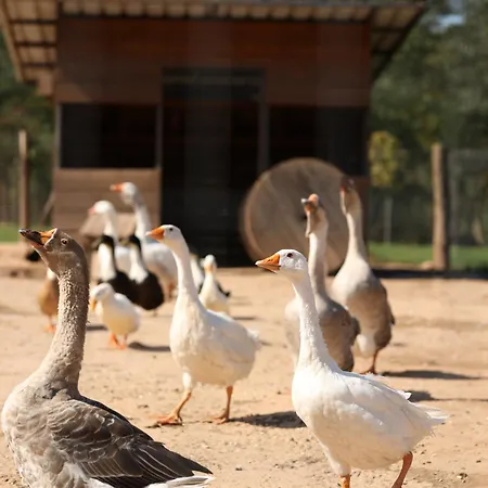 Magarece Mleko Eko Farma Sisevac Wellness&spa * Парасин