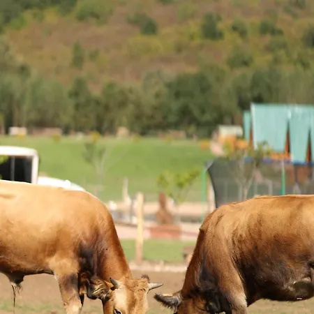 Magarece Mleko Eko Farma Sisevac Wellness&spa アパート