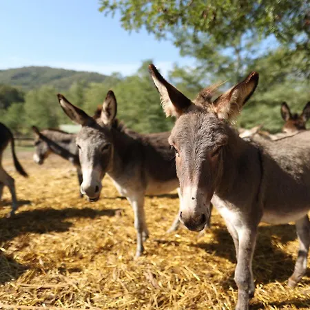 Magarece Mleko Eko Farma Sisevac Wellness&spa アパート *