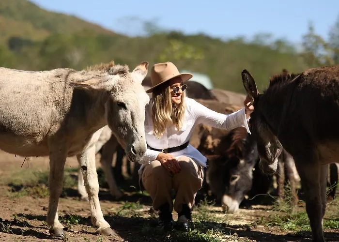 Apartman Magarece Mleko Eko Farma Sisevac Wellness&spa Paraćin